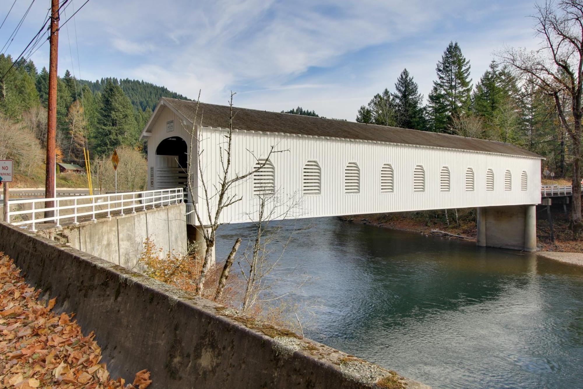 Peaceful Mckenzie River Retreat Fish, Hike, And Ski Vida Exterior photo