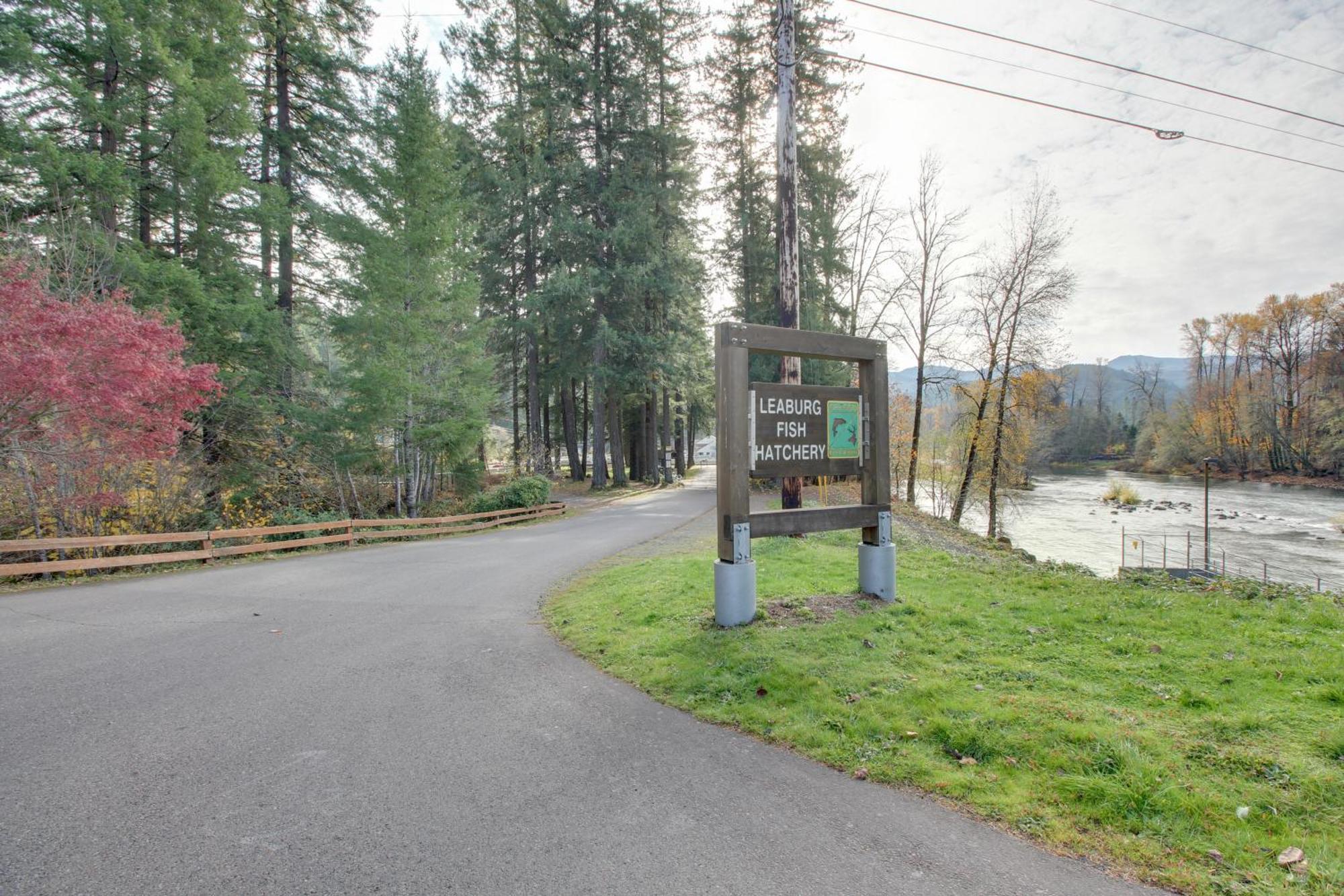 Peaceful Mckenzie River Retreat Fish, Hike, And Ski Vida Exterior photo