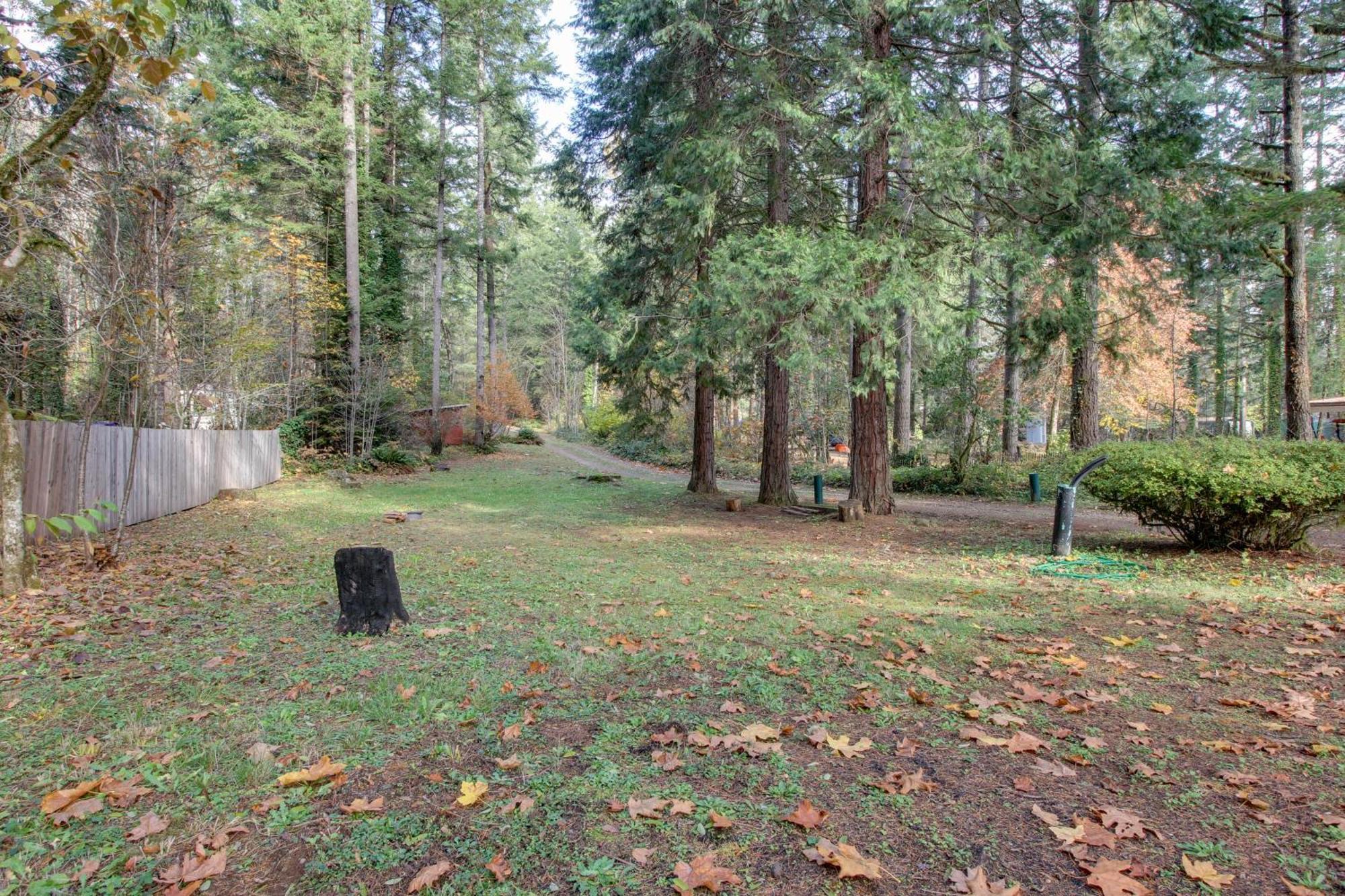 Peaceful Mckenzie River Retreat Fish, Hike, And Ski Vida Exterior photo